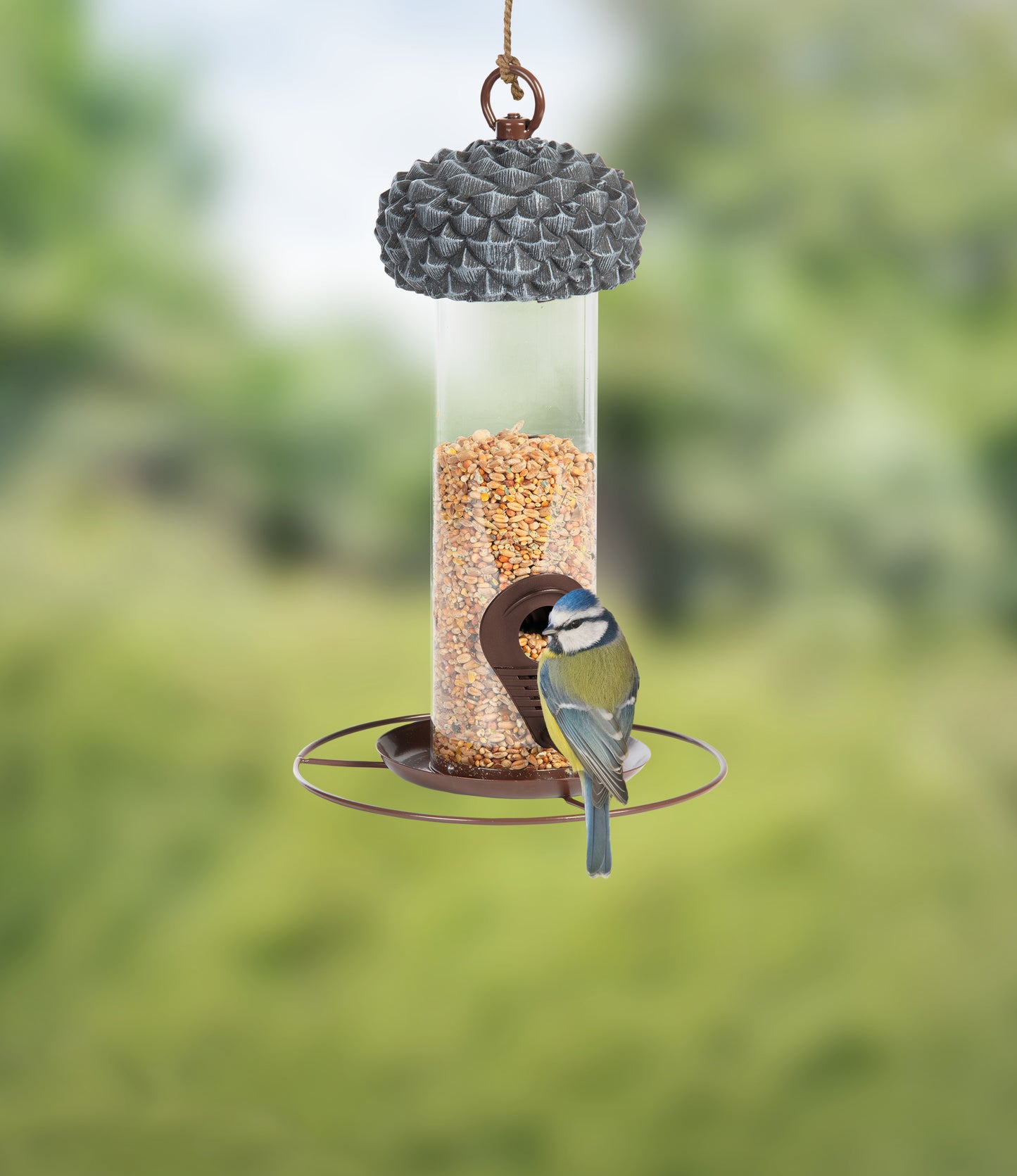 Seed Feeder Acorn