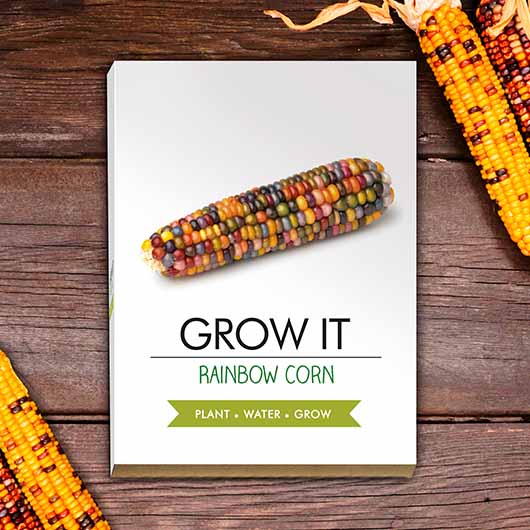 Grow it - Rainbow Corn