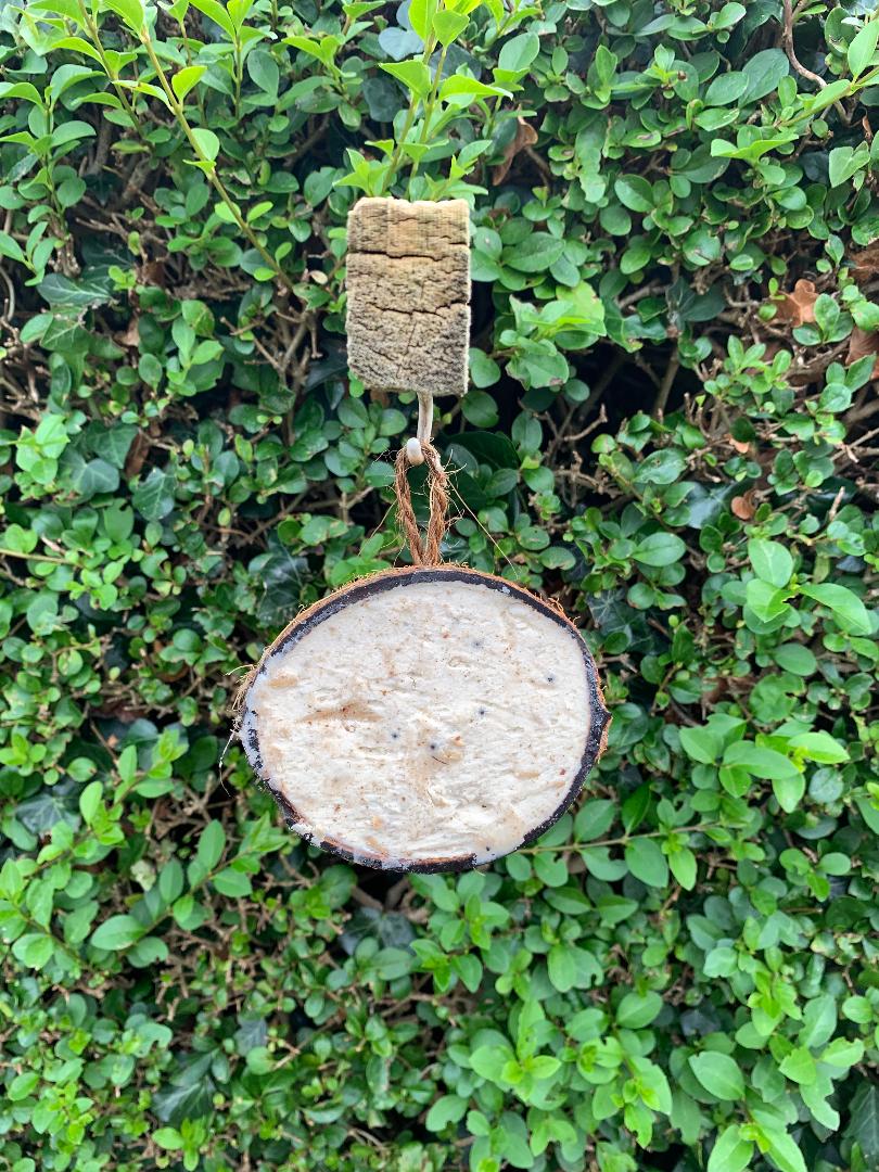 Suet in Coconut